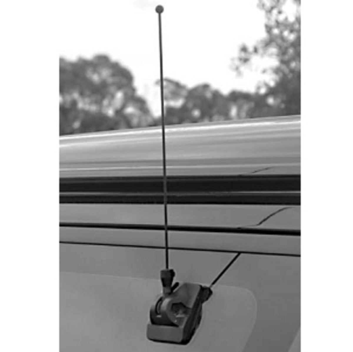 AP454-477_1-1.jpg