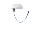 RFI DAS6942-SOC160 Cellular Antenna SISO, -160 dBc, 0.5m, 4.3-10-Female